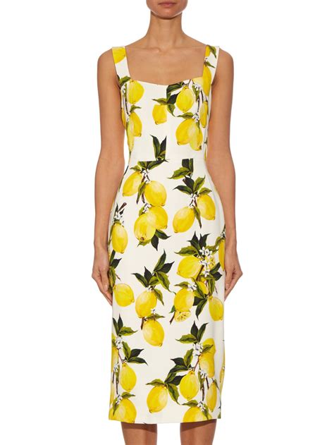 dolce gabbana queen print|dolce and gabbana lemon print.